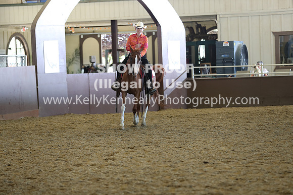R317_RanchHorse_4522
