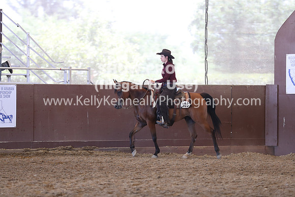 R317_RanchHorse_4526