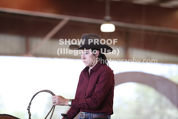 R317_RanchHorse_4527