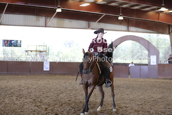 R317_RanchHorse_4528