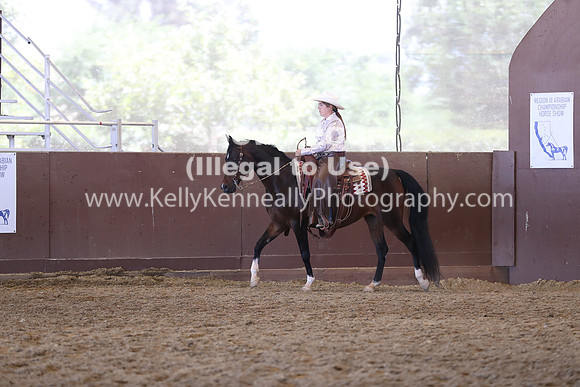R317_RanchHorse_4532