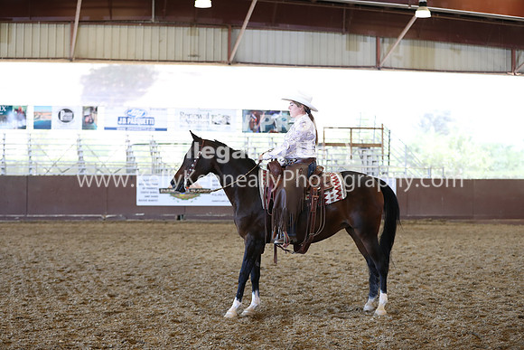 R317_RanchHorse_4535