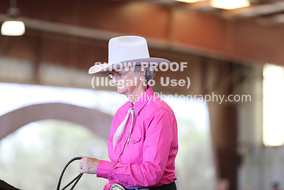 R317_RanchHorse_4544