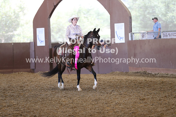 R317_RanchHorse_4554