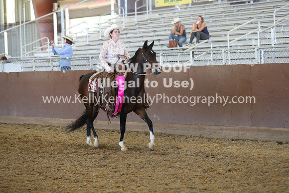 R317_RanchHorse_4556