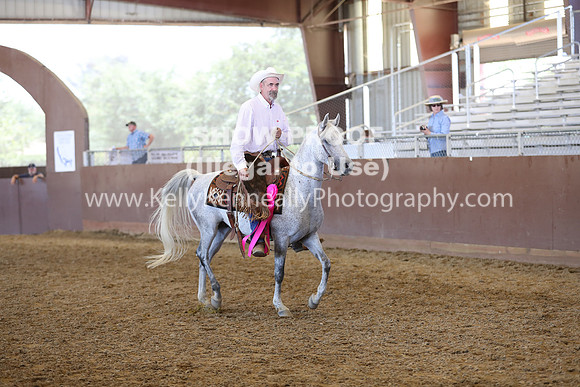 R317_RanchHorse_4561