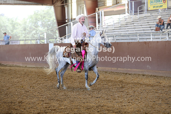 R317_RanchHorse_4562