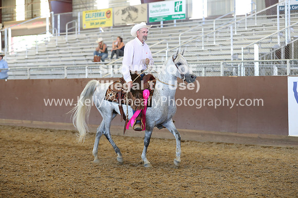 R317_RanchHorse_4563