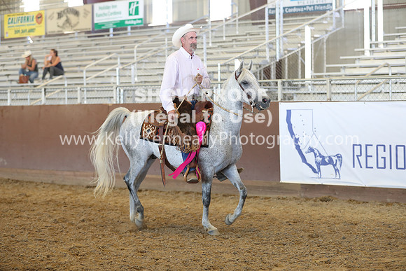 R317_RanchHorse_4564
