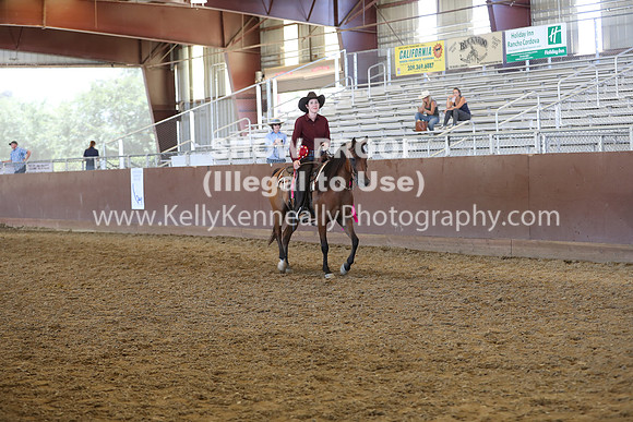 R317_RanchHorse_4567