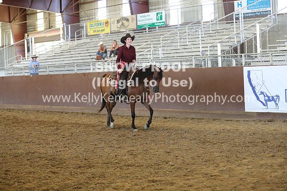 R317_RanchHorse_4568