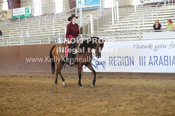 R317_RanchHorse_4569