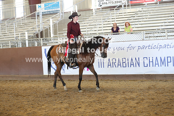 R317_RanchHorse_4570