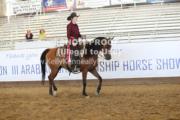 R317_RanchHorse_4571