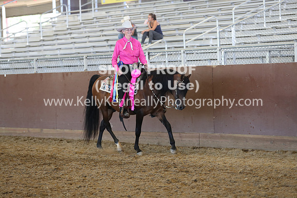 R317_RanchHorse_4573