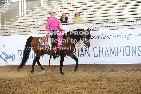 R317_RanchHorse_4576