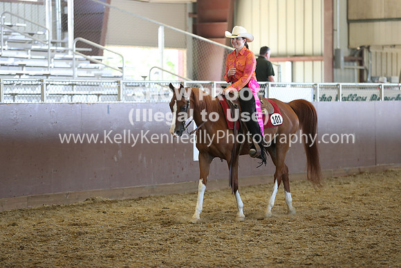 R317_RanchHorse_4579