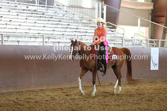R317_RanchHorse_4580