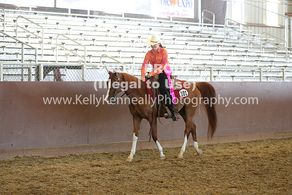 R317_RanchHorse_4581