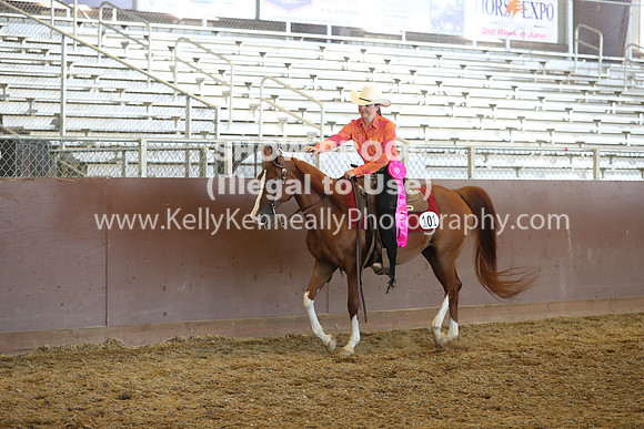 R317_RanchHorse_4582