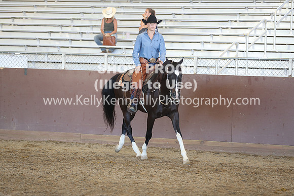 R317_RanchHorse_4587