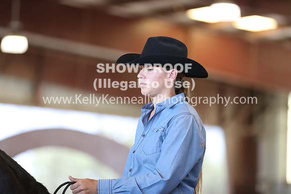 R317_RanchHorse_4588