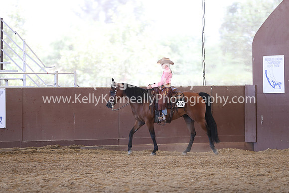 R317_RanchHorse_4595