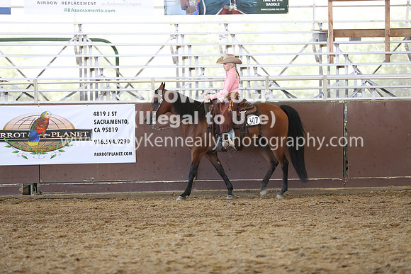 R317_RanchHorse_4596