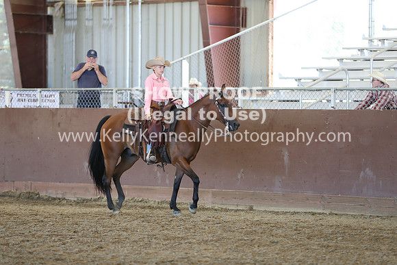 R317_RanchHorse_4597