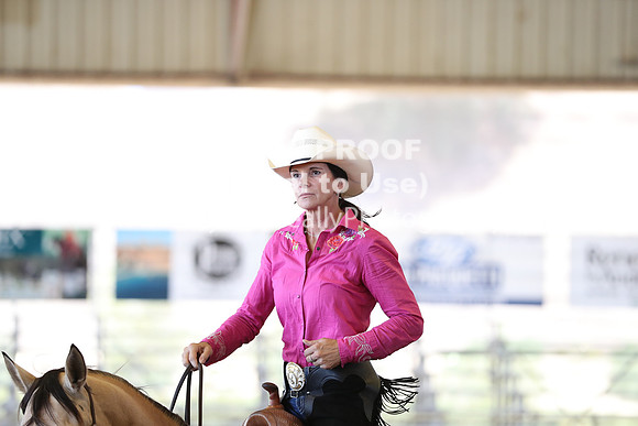 R317_RanchHorse_4606