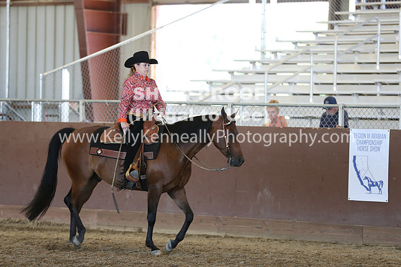 R317_RanchHorse_4610