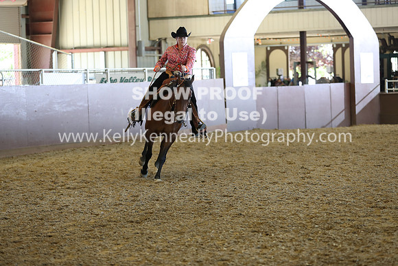 R317_RanchHorse_4613