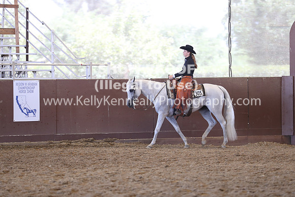 R317_RanchHorse_4614