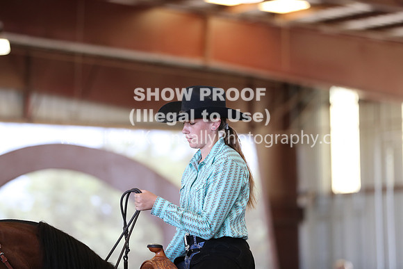R317_RanchHorse_4625