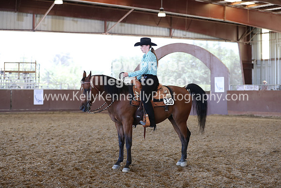 R317_RanchHorse_4626