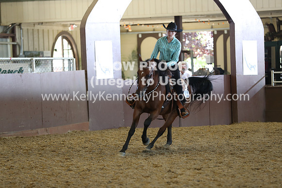 R317_RanchHorse_4628