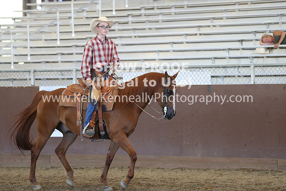 R317_RanchHorse_4631
