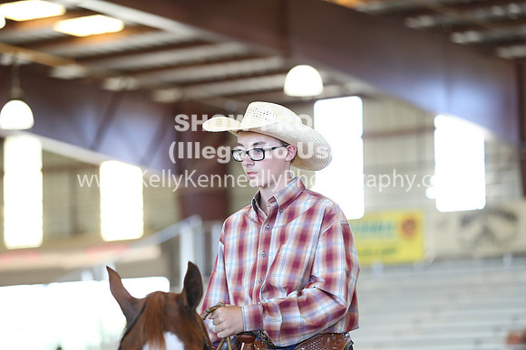 R317_RanchHorse_4632