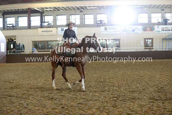 R317_RanchHorse_4643