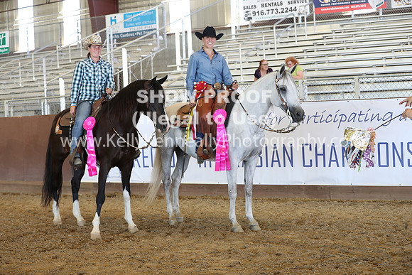 R317_RanchHorse_4657