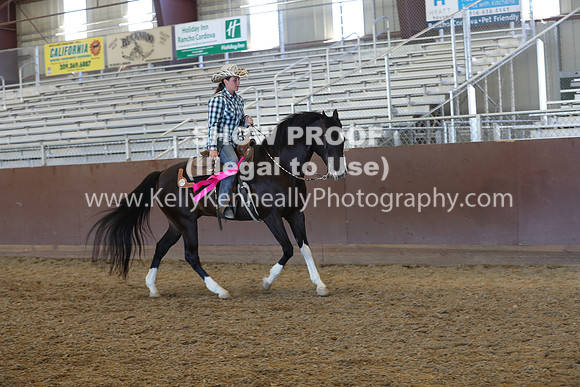 R317_RanchHorse_4664