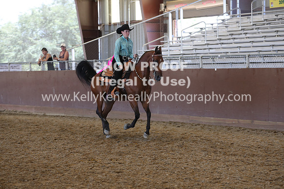 R317_RanchHorse_4669