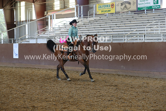 R317_RanchHorse_4671
