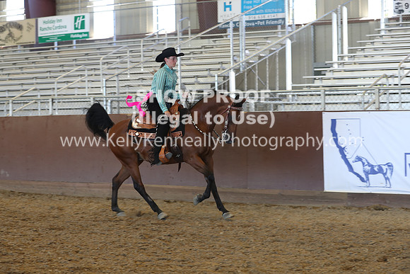 R317_RanchHorse_4674