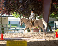 R317_Trail_3995 copy