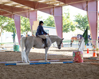 R317_Trail_4021 copy