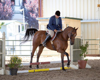 R317_Trail_4037 copy