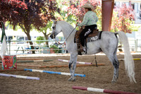 R317_Trail_4250