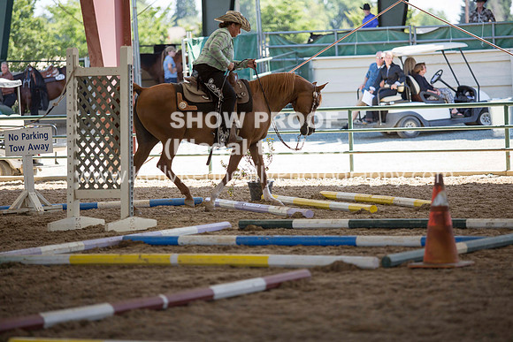 R317_Trail_4310