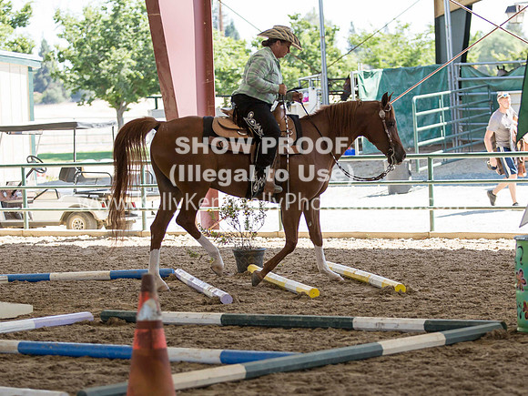 R317_Trail_4329